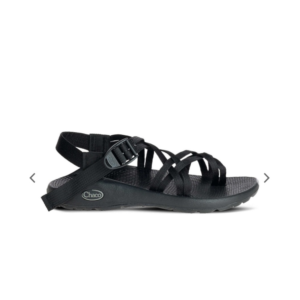 Chaco Dual Strap Classic Sandal